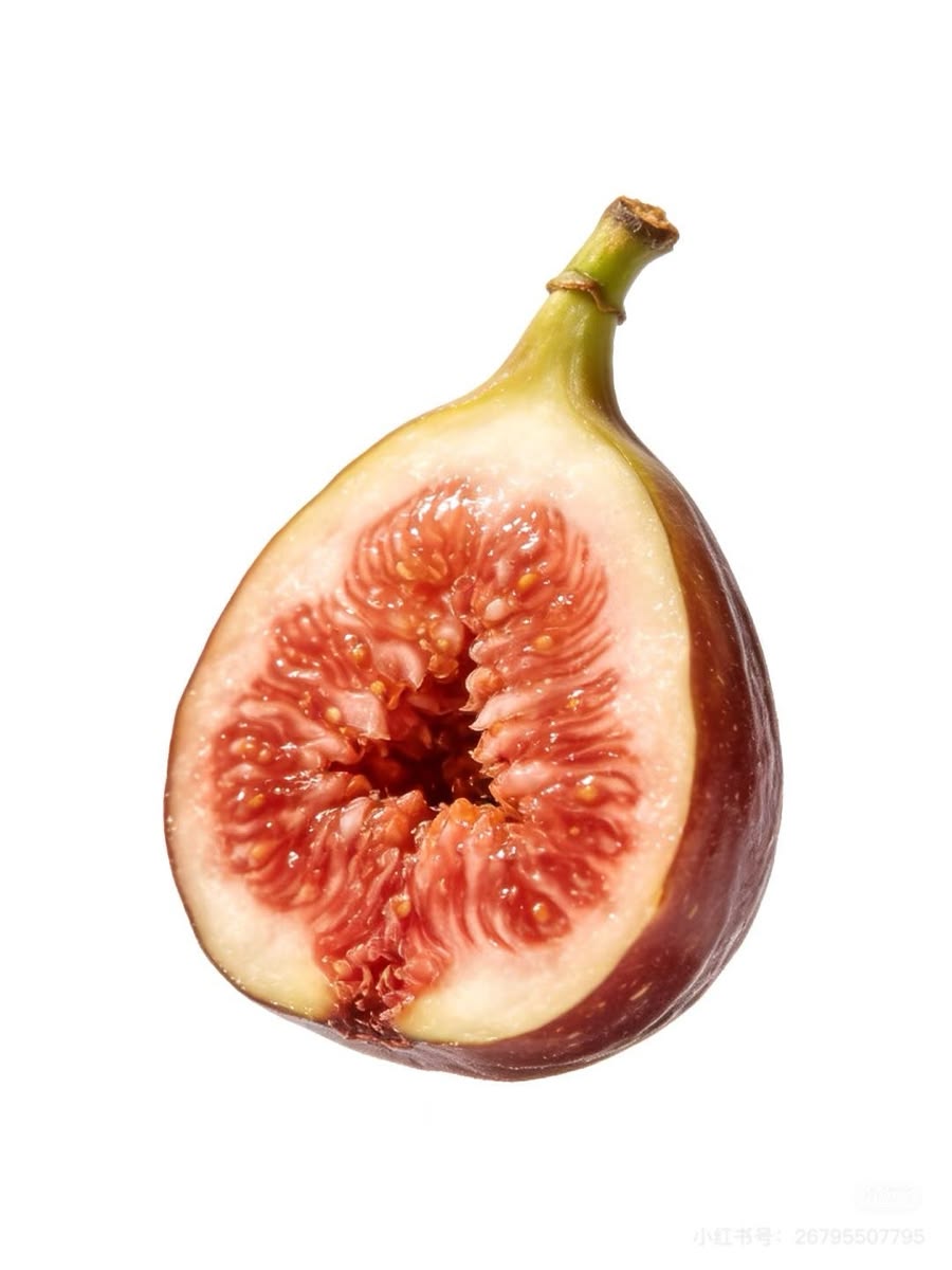 Fig