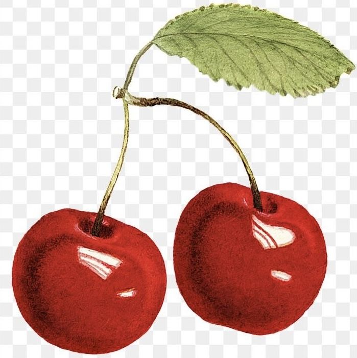 Cherries
